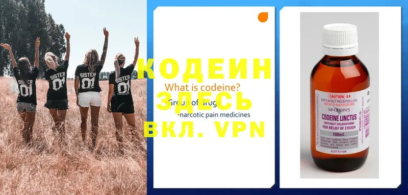 Codein напиток Lean (лин)  продажа наркотиков  hydra ТОР  Курчалой 